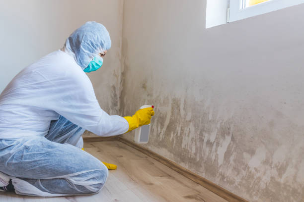 Licensed Mold Remediation service in Maryland, MD - 24 Hour Mold Removal