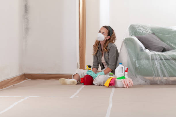 Reliable Mold Remediation contractor in Maryland, MD by 24 Hour Mold Removal